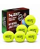 SiXiT Cricket Tennis Ball Heavy (Pack of 6)