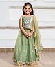 Lagorii Net Woven Sleeveless Floral Embroidered & Sequins Embellished Lehenga Choli - Green