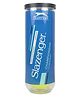 SLAZENGER Championship Hydroguard Tennis Ball (Standard, Pack of 3, Green)
