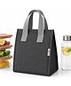 SaleOn Insulated Lunch Bag for Office, School & Travel, Reusable Tiffin Bag with Aluminium Foil Lining, Durable Handles, Large Capacity Food Storage Bag with 1 Year Warranty
