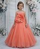 Li & Li Couture Organza Woven Sleeveless Beads Embellished Floral Applique Detailed Gown - Flamingo Pink