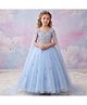 Li & Li Couture Net Woven Cap Sleeves Rhinestones & Beads Embellished Gown - Blue