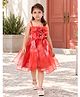 Huggle Boo Organza Woven Sleeveless Floral Applique Detailed Dress - Red