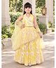Huggle Boo Net Woven Sleeveless Sequin Embellished Coordinating Lehenga Choli & Dupatta Set - Yellow