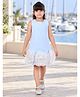 Huggle Boo Woven Sleeveless Floral Applique Detailed Dress - Sky Blue