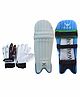 Wasan Cricket Batting Leg Guard And Gloves - Blue