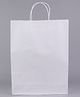 Plain Paper Bags Medium Size