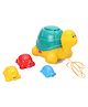 Giggles Ride & Hide  Pack of 4 Turtles - Multicolor