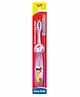 DentoShine Easy Grip Toothbrush - Purple