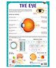 Pegasus The Eye Thick Laminated Chart