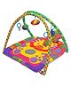 Babyhug Twist N Fold Move N Play Activity Gym Lion
