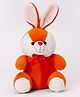 Play Toons Bunny Soft Toy Orange - Height 15 cm (Color May Vary)