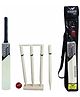 Wasan Cricket Set  Size 3 in bag- Natural