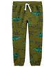Carter's Dinosaur Pull-On Warm Fleece Pants - Green