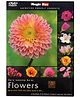 Magicbox DVD Flowers - English