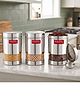 Hazel Stainless Steel Transparent Container Silver Set of 3 - 600 ml
