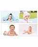 WENS HD Digital Baby Posters Pack of 4 - Multicolour