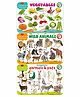 Sawan Educational Table Mats of  Birds Shapes and Colours and Body Parts Set of 3 - English