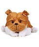 IR Bull Dog Soft Toy Light Brown - Length - 45 cm