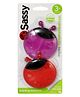 Sassy Ladybug Teethers