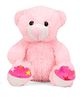 Liviya Teddy Bear Soft Toy - Pink
