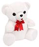 IR Soft Teddy Bear White - 30 cm