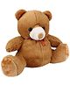 IR Soft Teddy Bear Dark Brown - 38 cm
