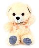 Natkhat Chubby Teddy Bear Soft Toy - 20 cm