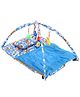 Kids Zone Trendy Soft Gym - Blue