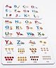 Funskool Alphabets And Numbers Memory Game - 72 Picture Cards