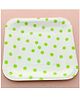 Funcart Green Polka Dot Square Plates - Pack of 12