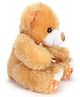 Liviya Teddy Bear Brown - 36 cm