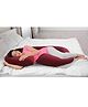 Babyhug Cotton C Shape Maternity Pillow - Maroon