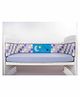 Blooming Buds Full Cot Bumper Sweet Lullaby Print - Purple