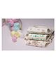 Lollipop Lane Hosiery Cloth Diaper with Velcro Closure and Muslin Lining - Large (Pack of 3)
