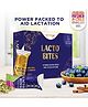 Nutrizoe Lactobites Lactation Bar Pack of 10 - 450 g