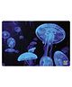 Webby Illuminated Jellyfishes Wooden Jigsaw Puzzle - 252 Pieces