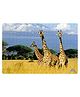 Webby Three Giraffes On Kilimanjaro Mount Wooden Jigsaw Puzzle Multiclor - 252 pieces