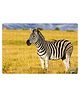 Webby Zebra in the Grasslands Wooden Jigsaw Puzzle - 252 Pieces