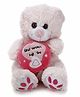 Play N Pets Teddy Bear With Cushion - 20 cm 