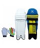 Wasan Cricket Batting Leg Guard And Gloves - Multicolor