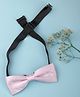 Arendelle Bow Tie - Pink
