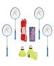 Hipkoo Badminton Set Pack Of 4 - Blue