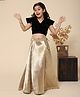 Piccolo Sleeveless Solid Color Velvet Choli With Lehenga Set - Golden & Black
