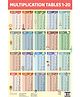Multiplication 1-20 Educational Chart - English
