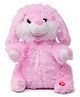 Fiddlerz Musical Dancing Bunny Soft Toy Pink - Height 28 cm