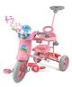 Dash Vega XL Children Musical Tricycle with Parental Handle - Pink