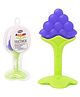 Mastela Fruit Shaped Silicone Teether - Blue