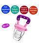 Mastela Food Feeder with Silicone Mesh - Pink