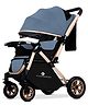 StarAndDaisy Stroller With Reversible Handle - Blue
